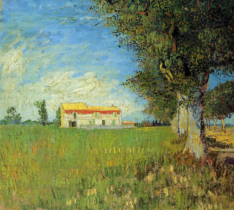 Vincent van Gogh Farmhouses in a Wheat Field